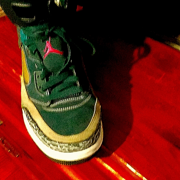 Nile vp\'s Jordans